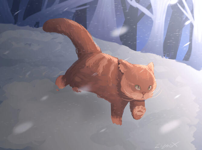 Blizzard Kitty Blizzard Kitty